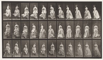 Talíř 139. Soustružení sestupných schodů, 1885 od Eadweard Muybridge