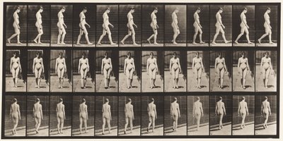 Talíř 13. Chůze, 1872-1885 od Eadweard Muybridge