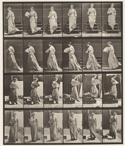 Talíř 141. Sestupné schody a Flirtující vějíř od Eadweard Muybridge