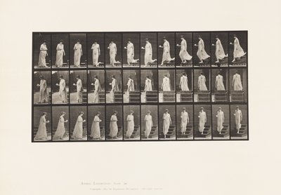 Talíř 143. Sestupný sklon, otáčení šálku a podšálku v pravé ruce od Eadweard Muybridge