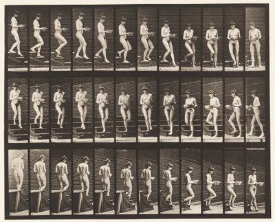 Talíř 144. Sestupné schody; Otočná mísa v rukou od Eadweard Muybridge