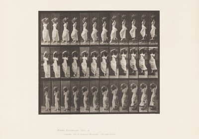 Talíř 146. Sestupný sklon, otáčení nádoby na vodu na levém rameni od Eadweard Muybridge
