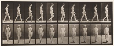 Talíř 15. Chůze od Eadweard Muybridge