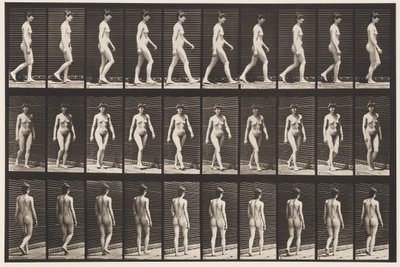 Talíř 16. Chůze, 1872-1885 od Eadweard Muybridge
