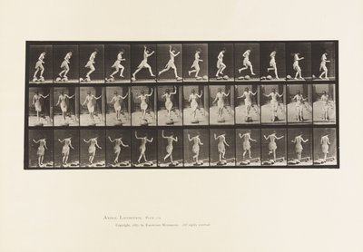 Deska 170. Od kamene ke kameni přes potok, 1885 od Eadweard Muybridge