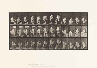 Talíř 172. Šlápnutí na kůl; Skákání dolů, otáčení, 1885 od Eadweard Muybridge