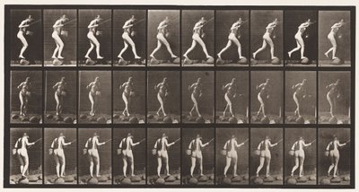 Deska 176. Překročení potoka na schodech s rybářským prutem a košíkem od Eadweard Muybridge