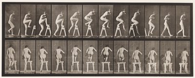 Talíř 178. Stoupání a přeskočení od Eadweard Muybridge