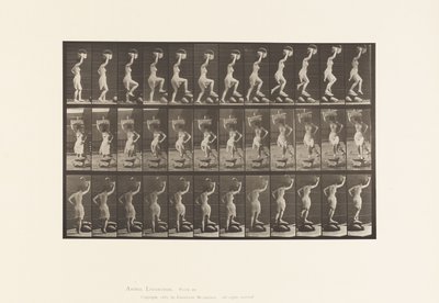 Talíř 179. Šlápnutí a přes kámen, koš na hlavě od Eadweard Muybridge
