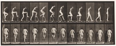 Talíř 180. Stoupání na židli a přes ni od Eadweard Muybridge