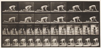 Talíř 182. Plazení po rukou a kolenou od Eadweard Muybridge