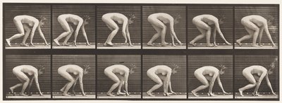 Talíř 183. Chůze po rukou a nohou od Eadweard Muybridge