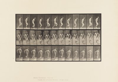 Talíř 186. Poskakování pravou nohou, 1885 od Eadweard Muybridge