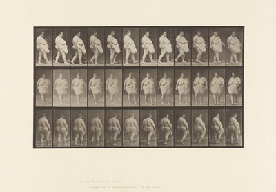 Talíř 19. Chůze, začátek otáčení od Eadweard Muybridge