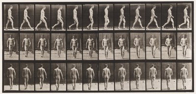 Talíř 1. Chůze od Eadweard Muybridge