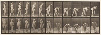 Talíř 204. Zastavení a vyzvednutí míče od Eadweard Muybridge