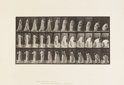 Talíř 205. Přenášení a sklápění s vázou, 1885 od Eadweard Muybridge