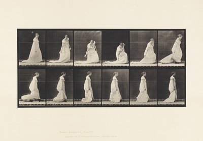 Deska 207. Sklápěcí a zvedací vlak, 1885 od Eadweard Muybridge