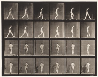 Talíř 20. Chůze, pravý loket ohnutý od Eadweard Muybridge