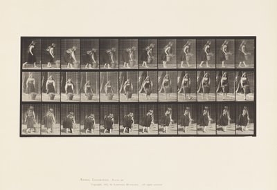 Talíř 217. Shýbání, zvedání a přenášení 30 lb koše, 1885 od Eadweard Muybridge