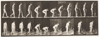Talíř 219. Shýbání a zvedání koštěte a zametání od Eadweard Muybridge