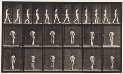 Talíř 21. Chůze, oba lokty ohnuté od Eadweard Muybridge