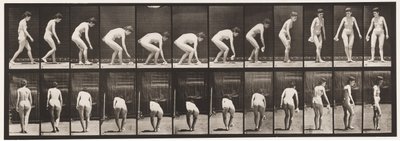 Talíř 220. Shýbání a zvedání kapesníku a otáčení od Eadweard Muybridge