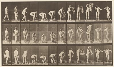 Talíř 227. Zvedající plátno ze země,, 1872-1885 od Eadweard Muybridge