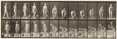 Talíř 228. Otáčení a zvedání nádoby na vodu ze země od Eadweard Muybridge