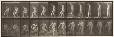 Talíř 236. Umístění deníku a sezení, 1885 od Eadweard Muybridge