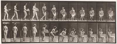 Talíř 237. Sedí na židli a otevírá ventilátor, 1872-1885 od Eadweard Muybridge