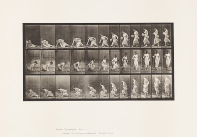 Talíř 248. Sedí na zemi od Eadweard Muybridge