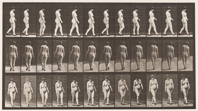 Talíř 24. Chůze, S Botami Na Vysokém Podpatku od Eadweard Muybridge