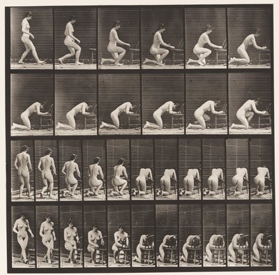 Talíř 254. Klečící, lokty na židli, ruce sepjaté od Eadweard Muybridge