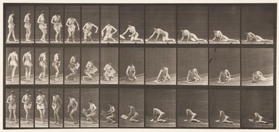Talíř 256. Ležící na zemi a čtení, 1872-1885 od Eadweard Muybridge