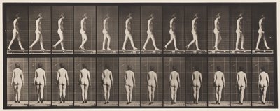 Talíř 25. Chůze, S Botami Na Vysokém Podpatku od Eadweard Muybridge