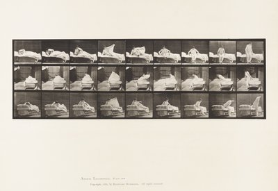 Talíř 265. Vstávání z postele a příprava na pokleknutí od Eadweard Muybridge