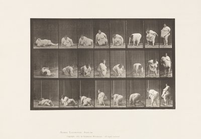 Deska 268. Vyvstávající ze země, 1885 od Eadweard Muybridge