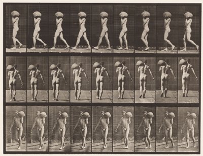 Talíř 26. Chůze, nošení 75-lb kamene na levém rameni od Eadweard Muybridge