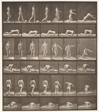 Talíř 272. Zakopnutí a pád na zem od Eadweard Muybridge