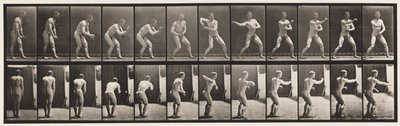 Talíř 285. Base-ball; Chytání a házení od Eadweard Muybridge