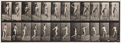 Talíř 289.Cvrček; Bowling s kulatým ramenem, 1885 od Eadweard Muybridge