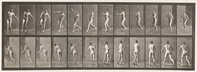 Talíř 290.Cvrček; Bowling přes rameno, 1885 od Eadweard Muybridge