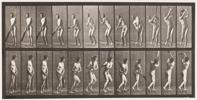 Talíř 291.Cvrček; odpalování; Drive, 1885 od Eadweard Muybridge