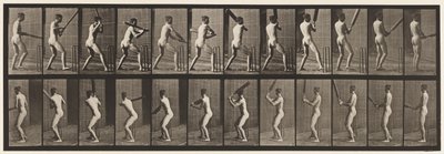 Talíř 292.Cvrček; odpalování; Zpět ven, 1885 od Eadweard Muybridge