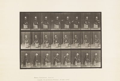 Talíř 296. Tenis na trávníku od Eadweard Muybridge