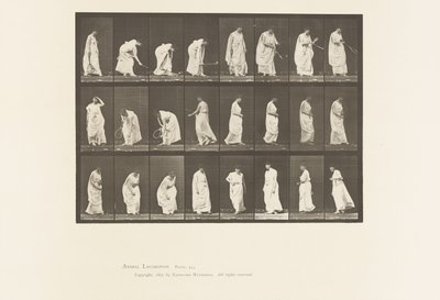 Talíř 299. Hra s míčem od Eadweard Muybridge