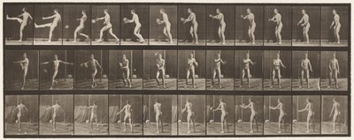 Talíř 301. Fotbal; Punt, 1885 od Eadweard Muybridge