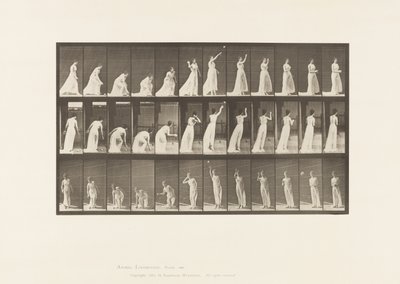 Talíř 305. Zvednutí míče a házení, 1885 od Eadweard Muybridge