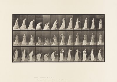 Talíř 306. Zvednutí míče a házení, 1885 od Eadweard Muybridge